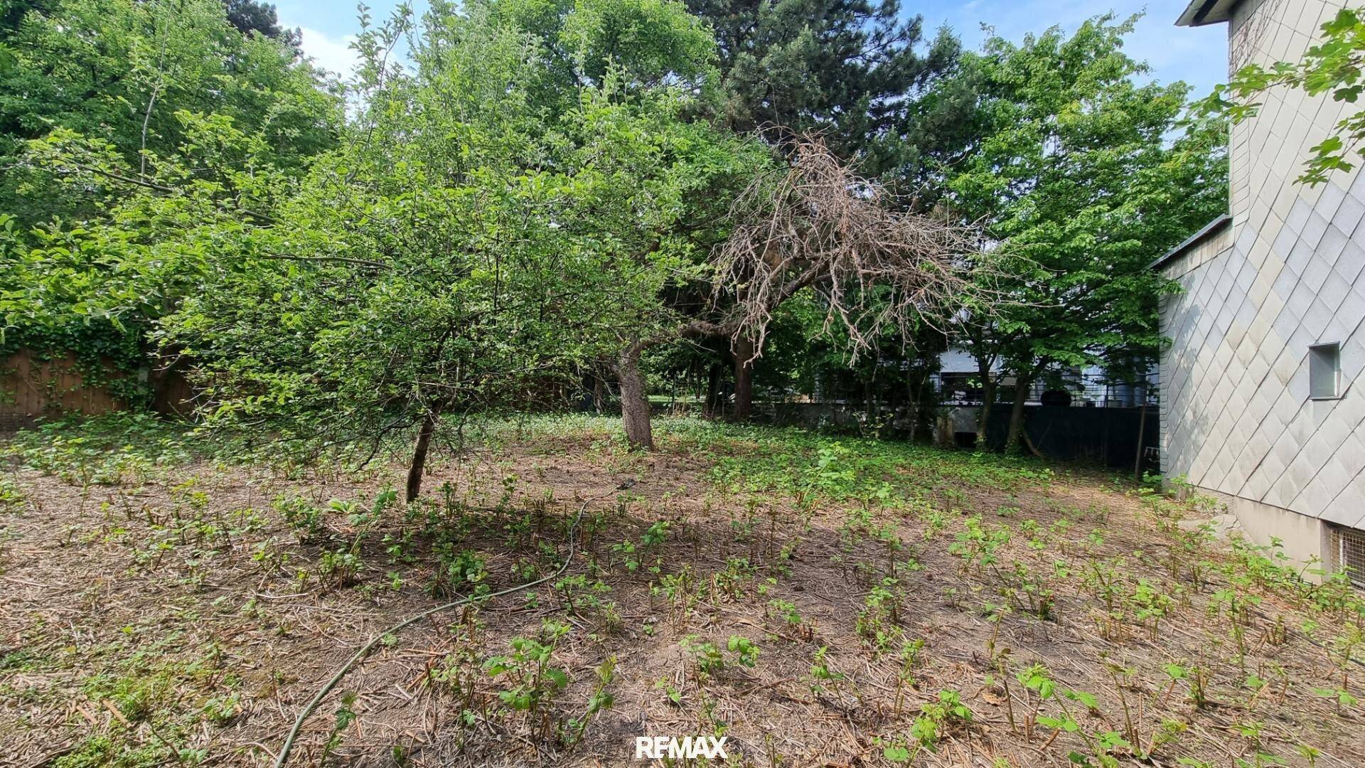 Naturbelassener Gartenbereich mit verschiedenen Bäumen und Sträuchern neben dem Haus.