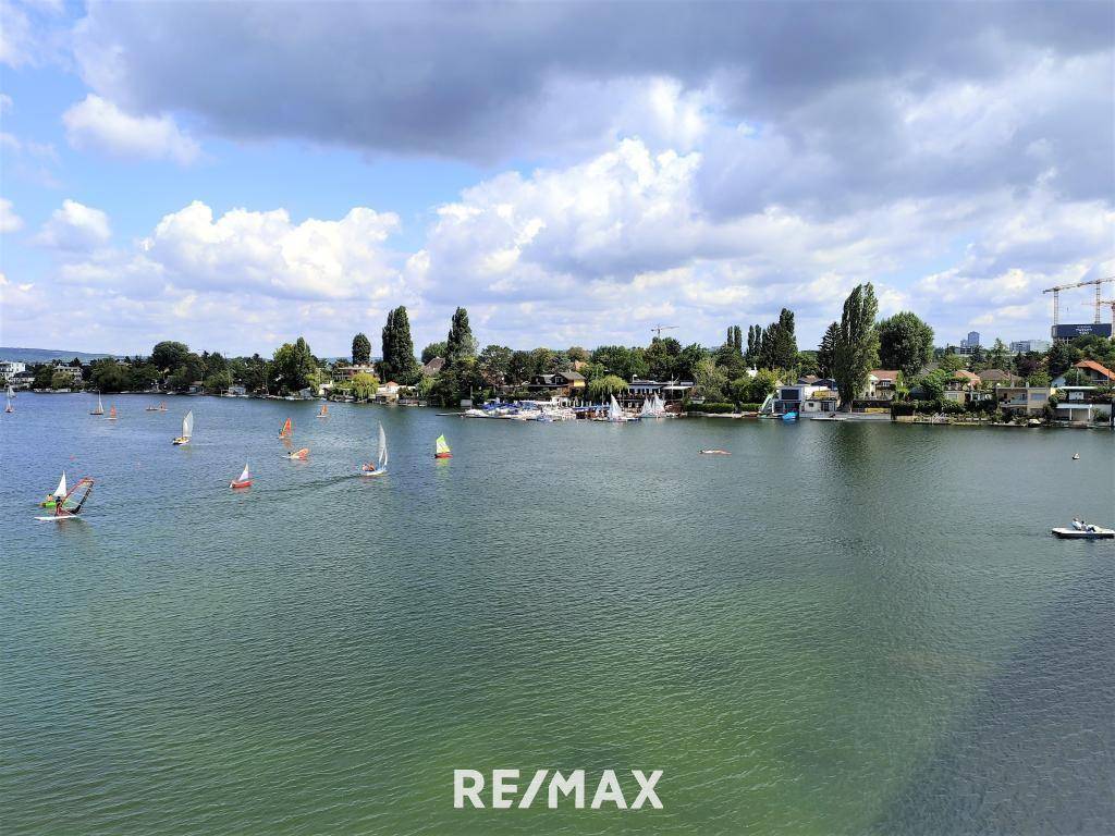 gleich ums Eck! - Alte Donau