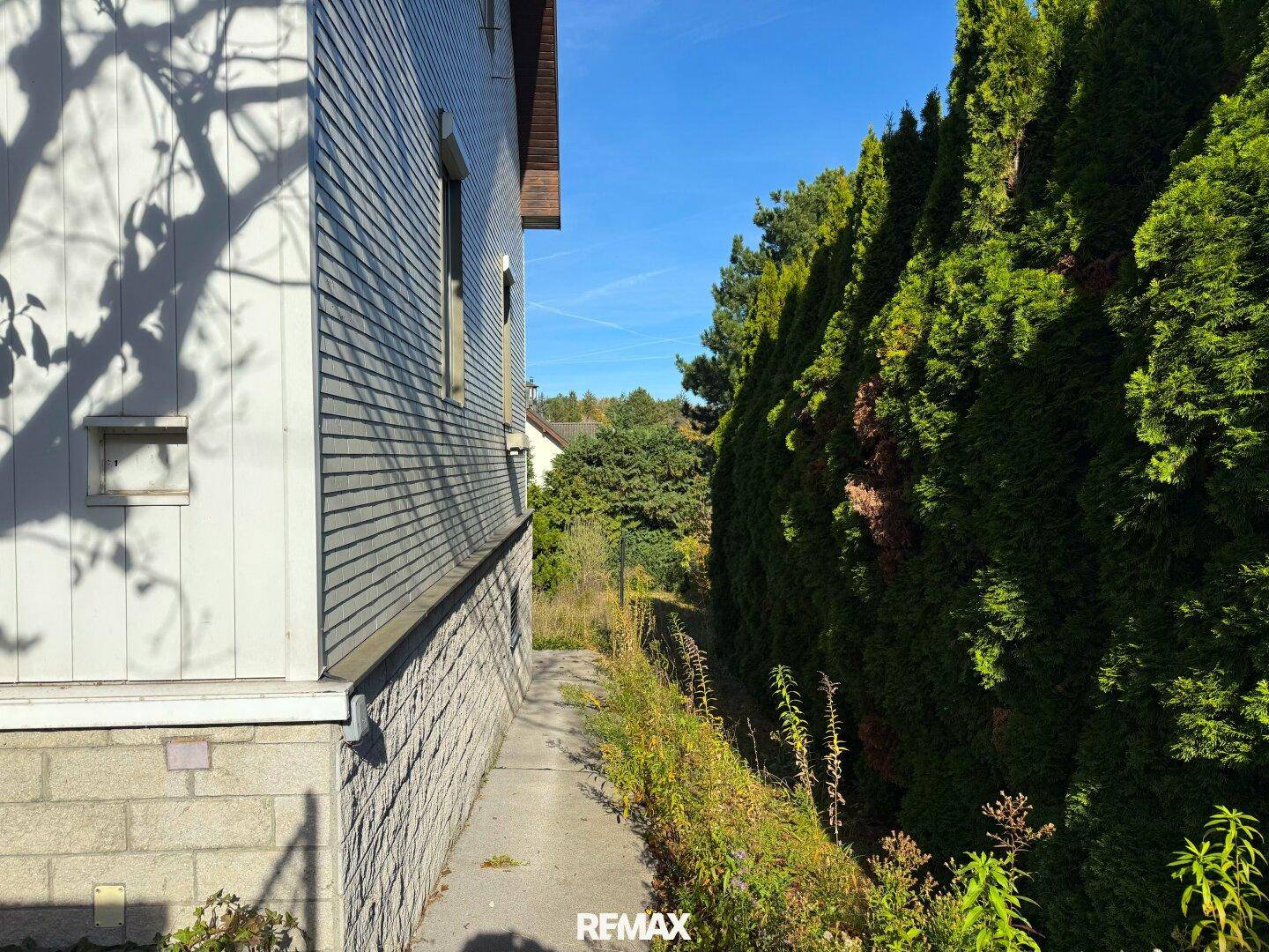 Seitenansicht des Hauses mit hoher Hecke entlang der Grundstücksgrenze.
