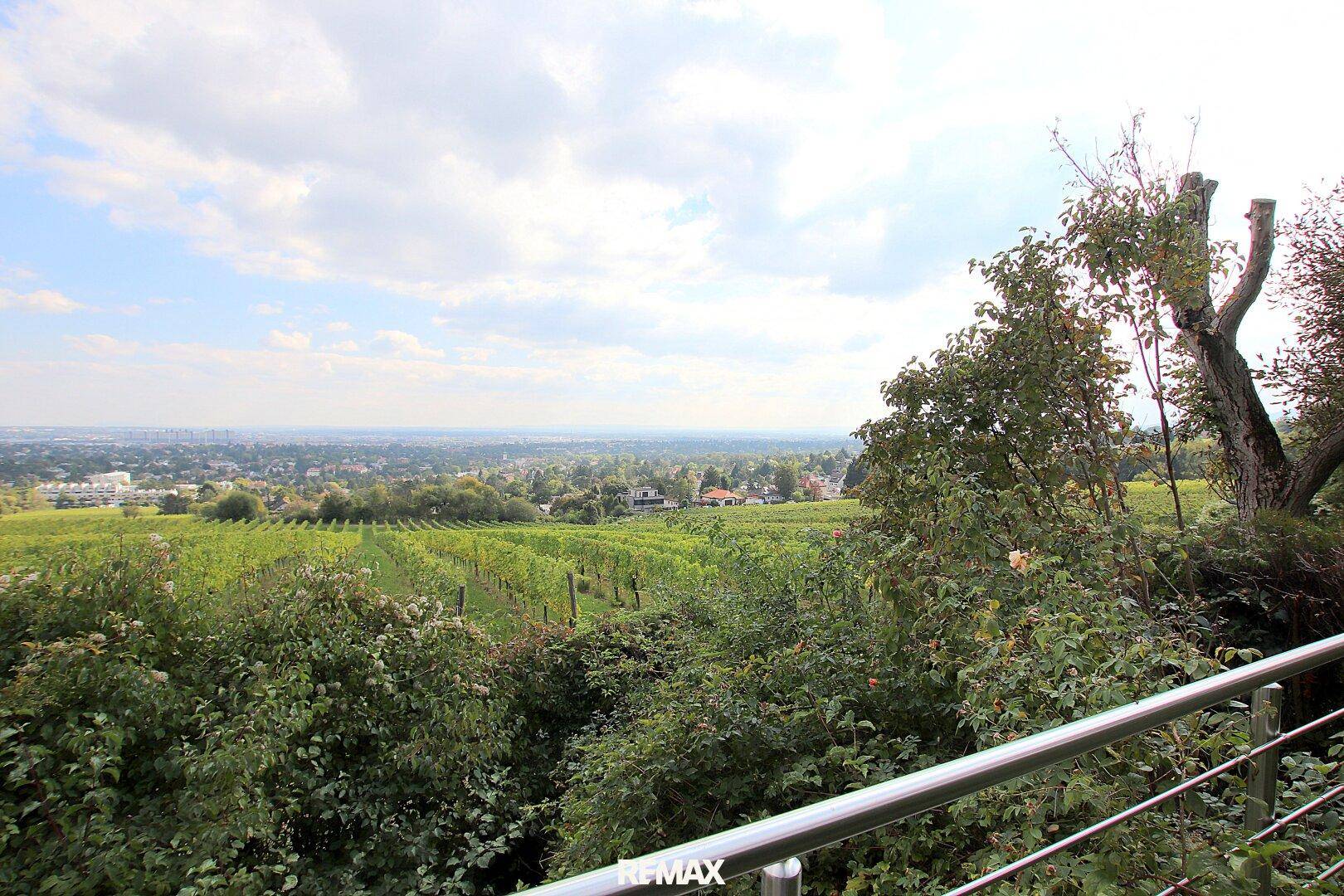 Ein malerischer Blick über weitläufige Weinberge und die umliegende Landschaft.
