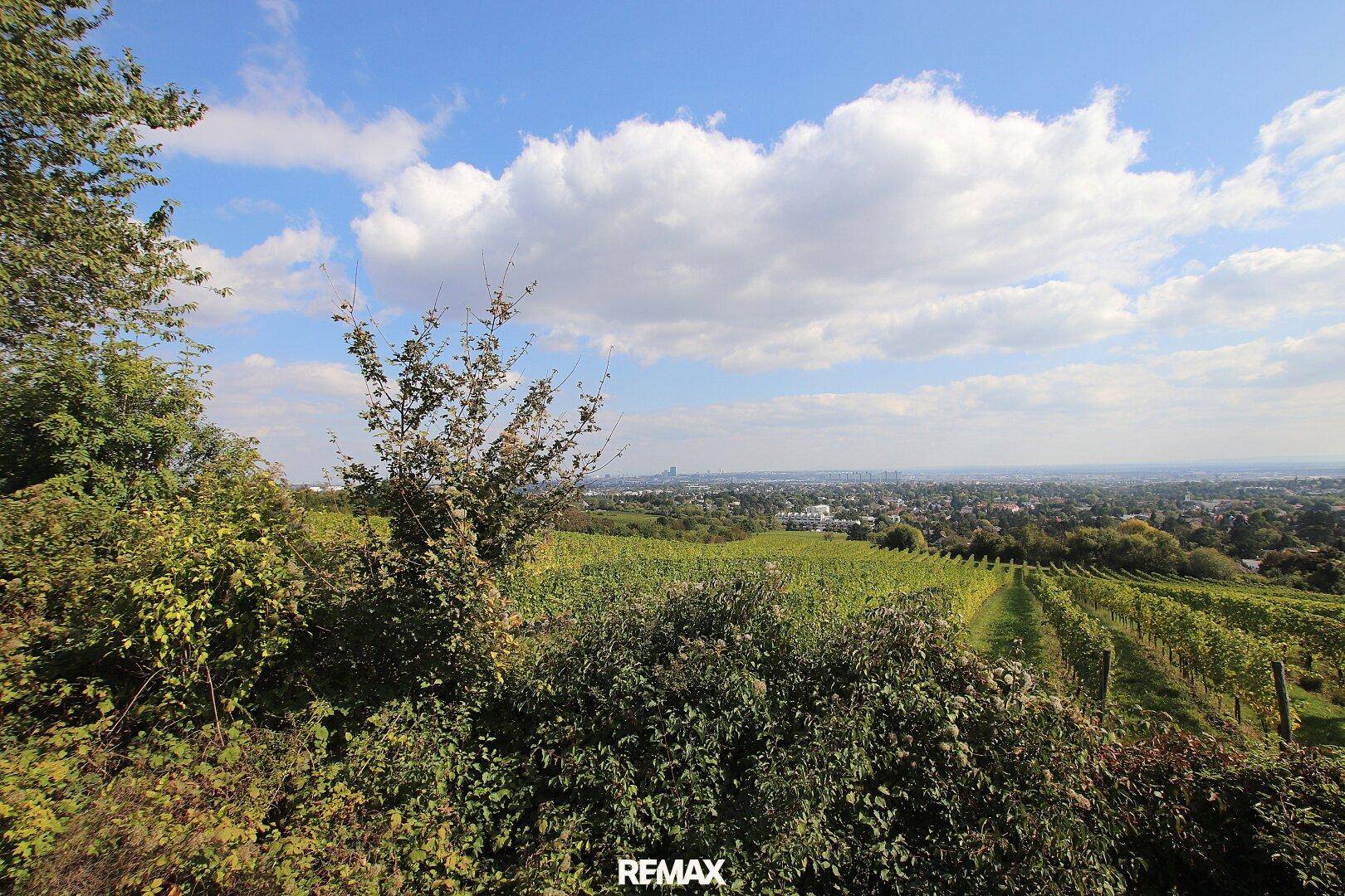 Weitläufiger Blick über grüne Weinberge und eine Stadt in der Ferne unter blauem Himmel.