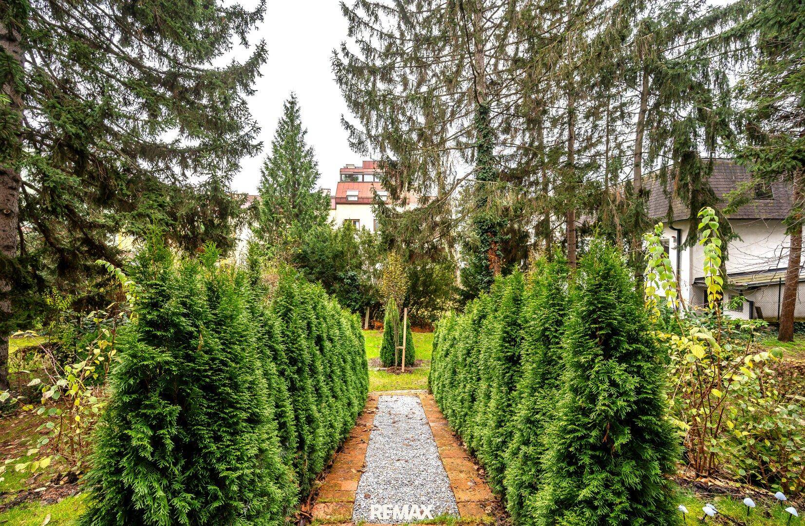 Gepflegter Gartenweg, umgeben von hohen Hecken und Bäumen, führt in die Tiefe des Grundstücks.