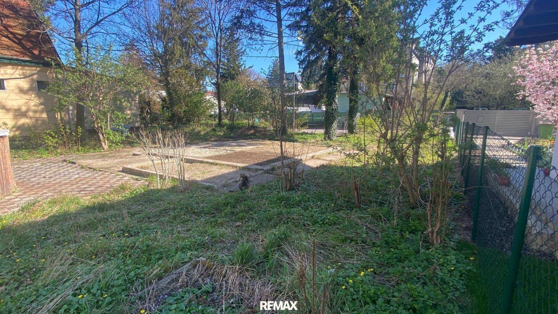 Ungepflegter Gartenbereich mit Gras, Sträuchern und einer gepflasterten Fläche im Hintergrund an einem sonnigen Tag.