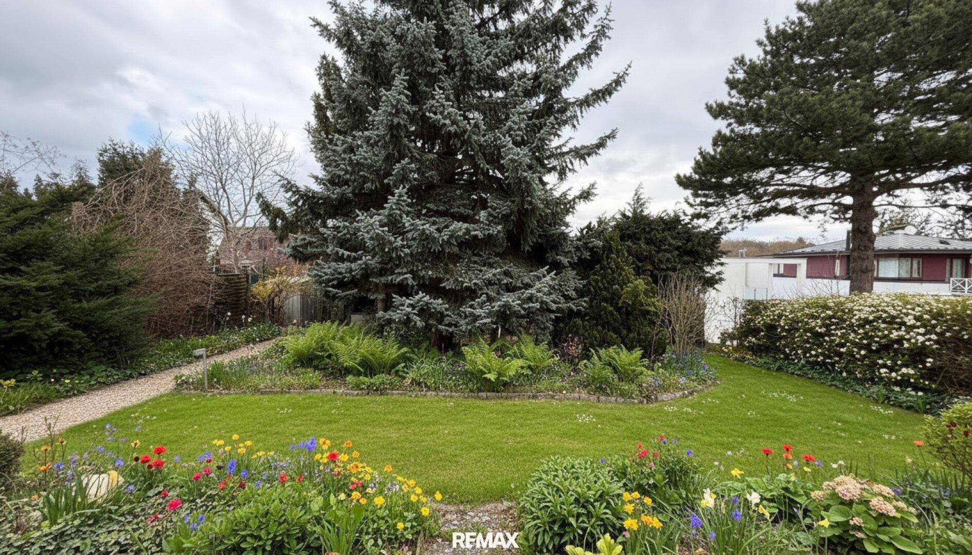 Gartenweg umgeben von bunten Blumenbeeten und einem großen Nadelbaum.
