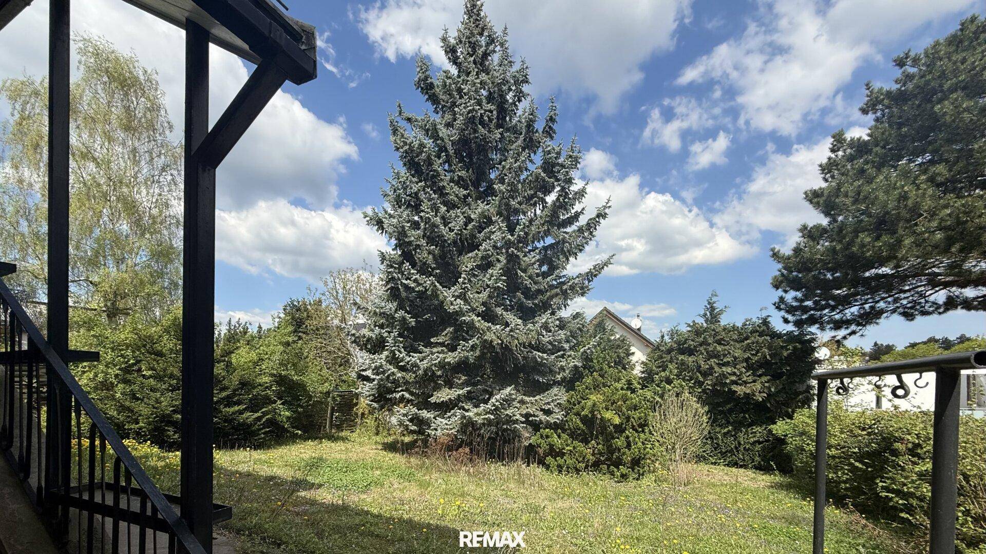 Blick von einer überdachten Veranda in den grünen Garten mit großem Nadelbaum.