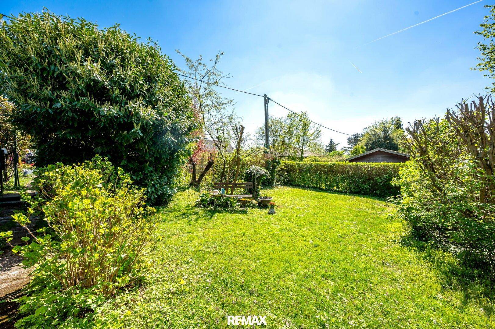 Grüner Garten mit Hecke, Rasenfläche und einem kleinen Sitzbereich, ideal für entspannte Stunden im Freien.