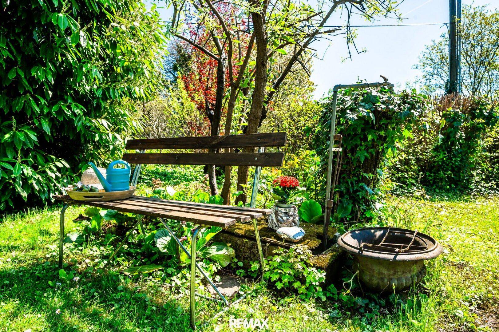 Rustikale Holzbank mit Gießkanne und Blumen, umgeben von üppigem Grün und einem alten Brunnenbecken.