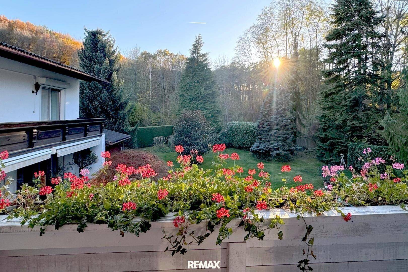 Blick von der Terrasse auf einen weitläufigen, gepflegten Garten mit alten Bäumen und blühenden Blumenbeeten bei Sonnenuntergang.