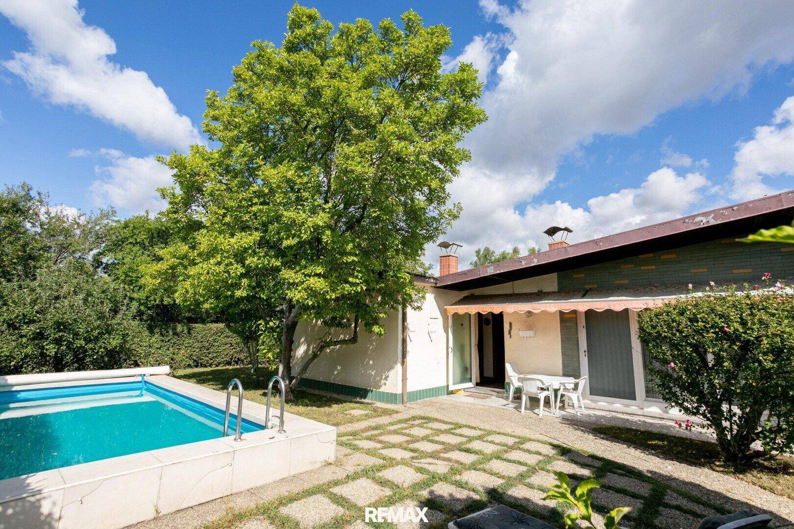 Außenbereich mit Swimmingpool, gepflasterter Terrasse und schattenspendendem Baum.