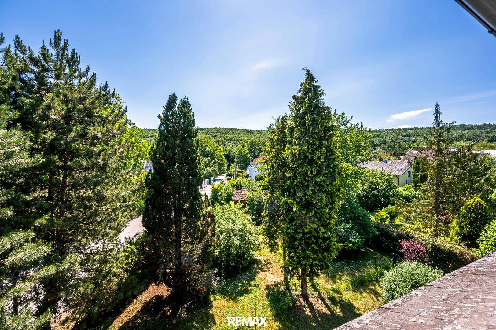 Weitläufiger Ausblick auf die grüne Umgebung mit hohen Bäumen und sonnigem Himmel von oben.