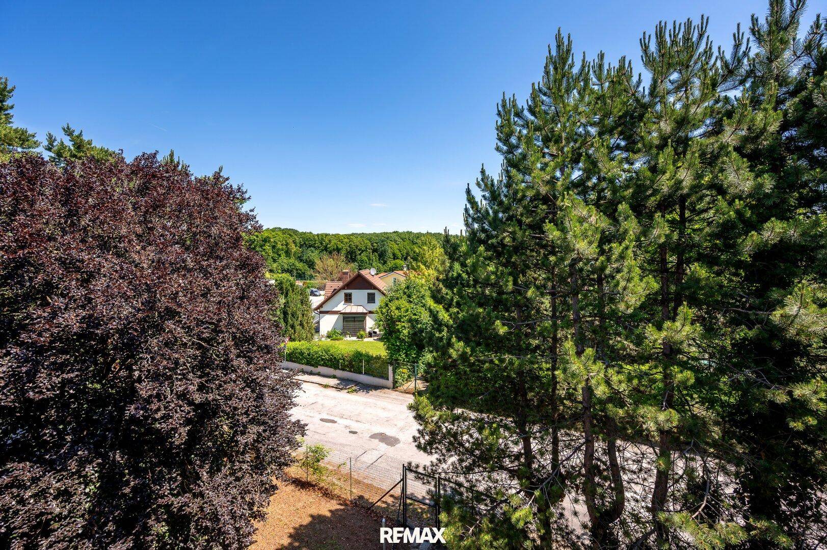 Panoramablick auf die grüne Umgebung mit Bäumen und einem Wohnhaus in der Ferne unter blauem Himmel.