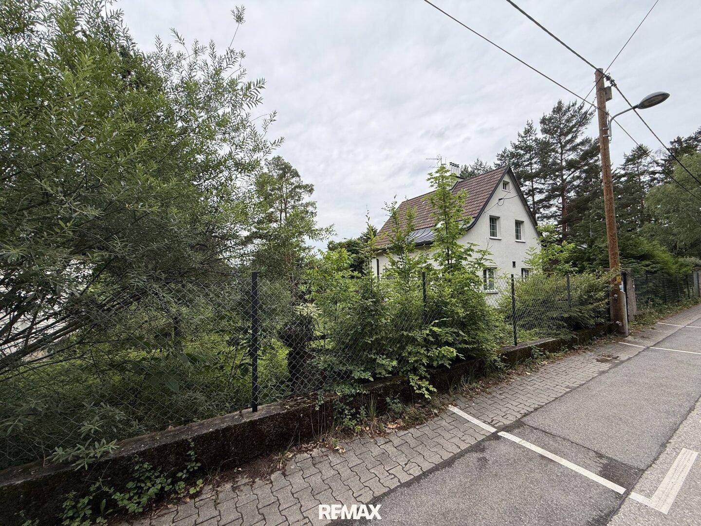 Blick von der Straße auf ein älteres Einfamilienhaus, umgeben von dichtem Grün und Bäumen.