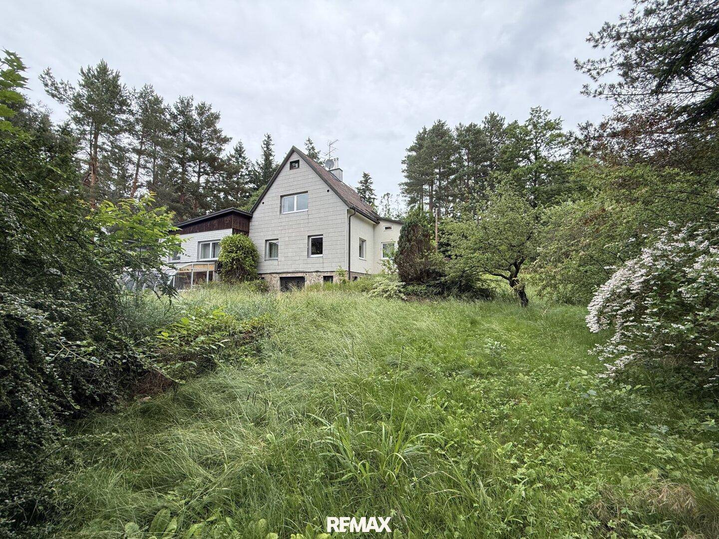 Rückseite eines Einfamilienhauses mit großem, verwildertem Garten und vielen Bäumen.