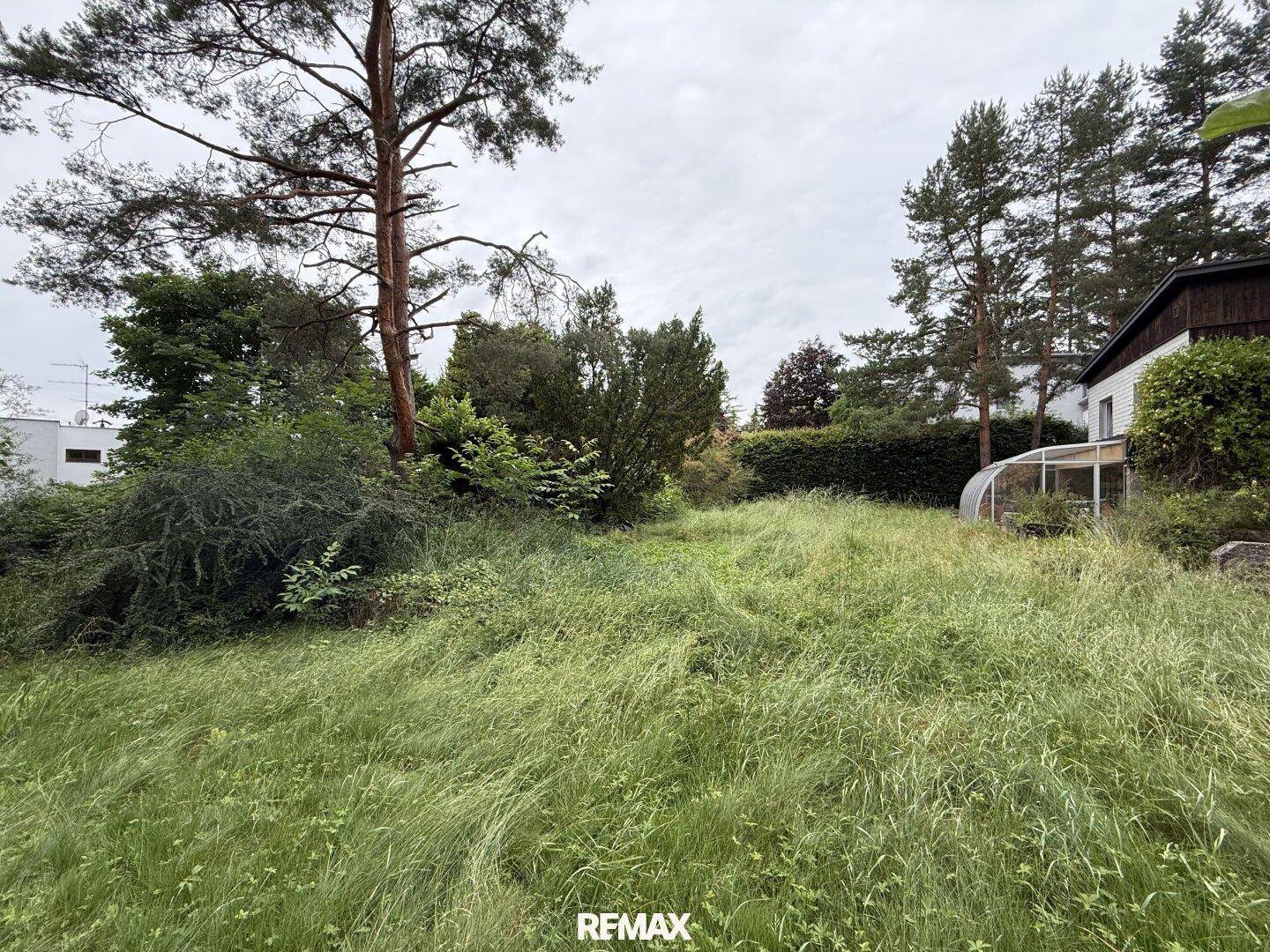 Weitläufiger, verwilderter Gartenbereich mit hohem Gras und einem kleinen Gewächshaus am Rand.