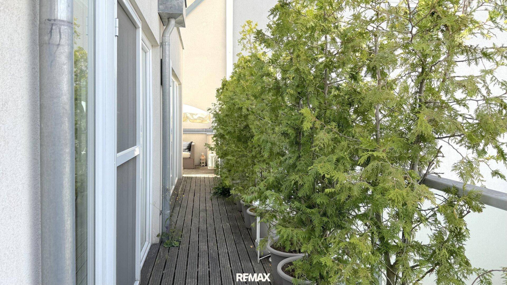 Langer, schmaler Balkon mit Holzboden und Topfpflanzen, der viel Grün bietet.