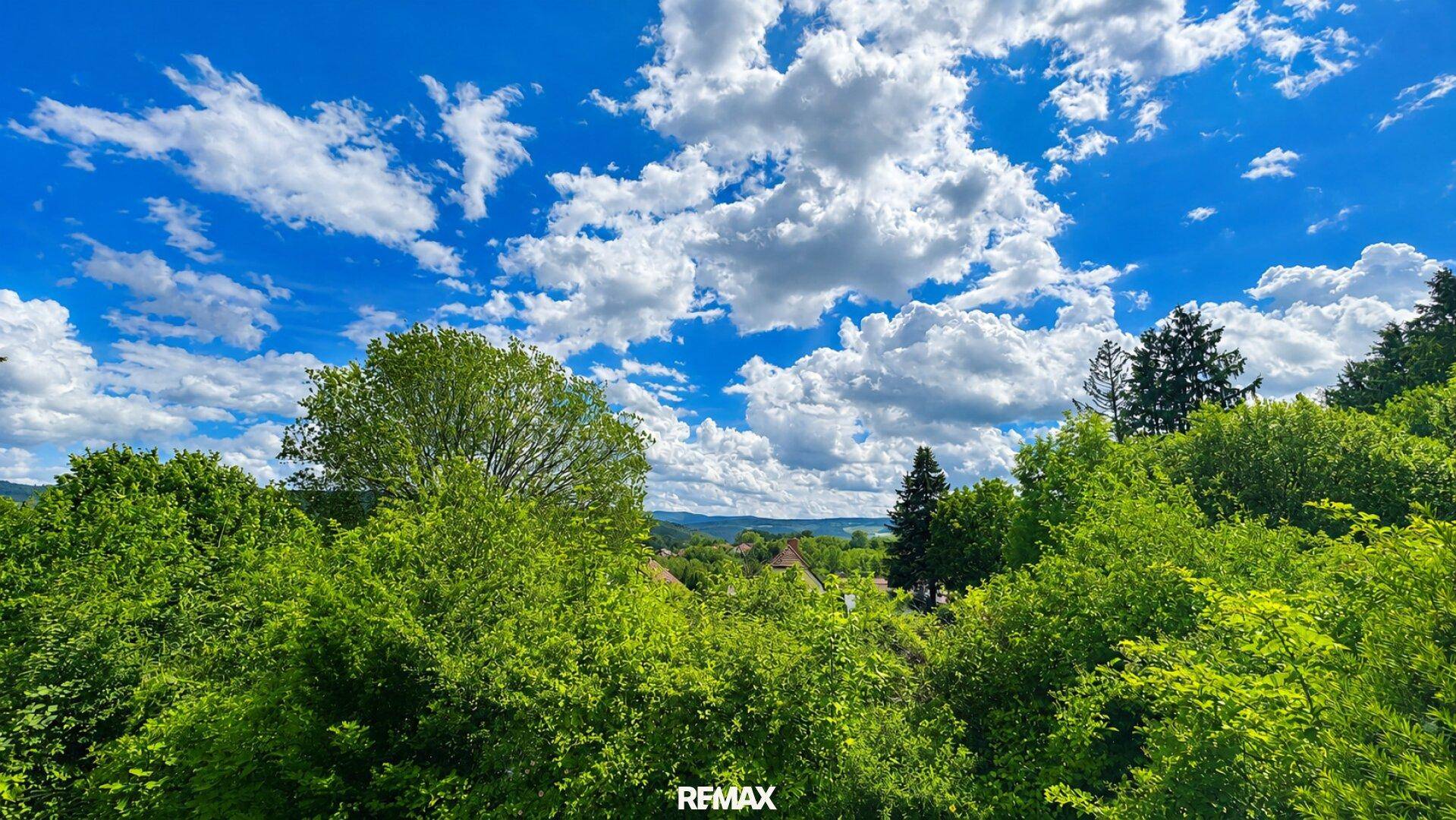 Weitläufiger Blick auf grüne Baumwipfel und einen strahlend blauen Himmel mit weißen Wolken.