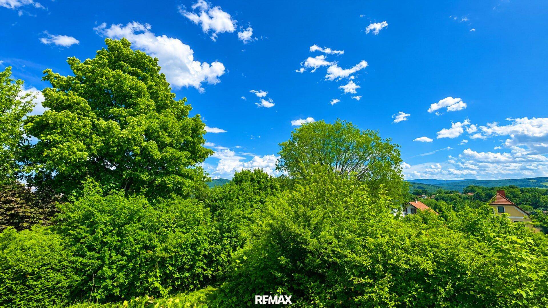Heller Blick auf dichte grüne Bäume und Sträucher unter einem weiten blauen Himmel.