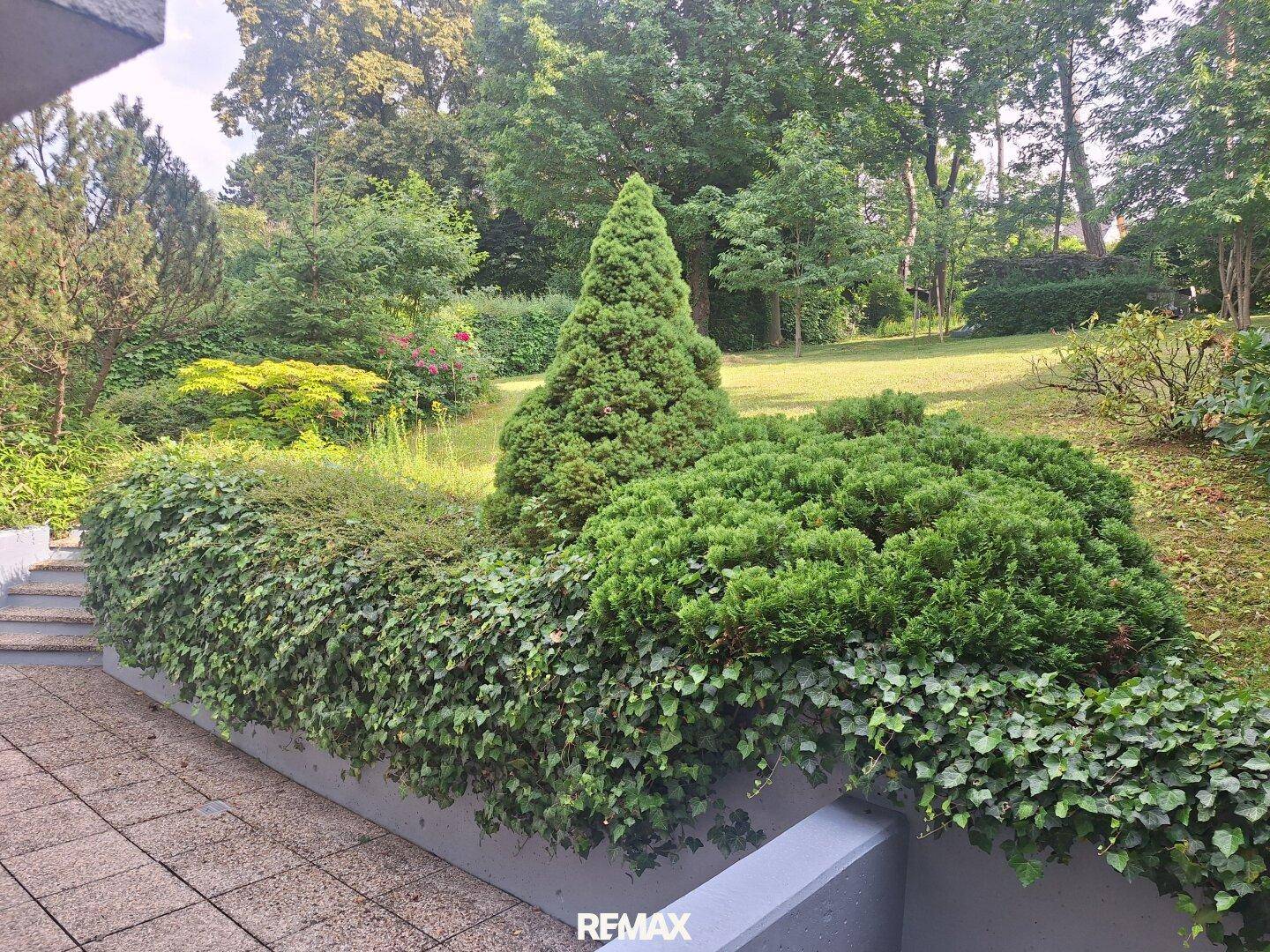 Blick von der Terrasse auf den grünen Garten mit Hecke, Nadelbaum und Stufen zum Rasen.