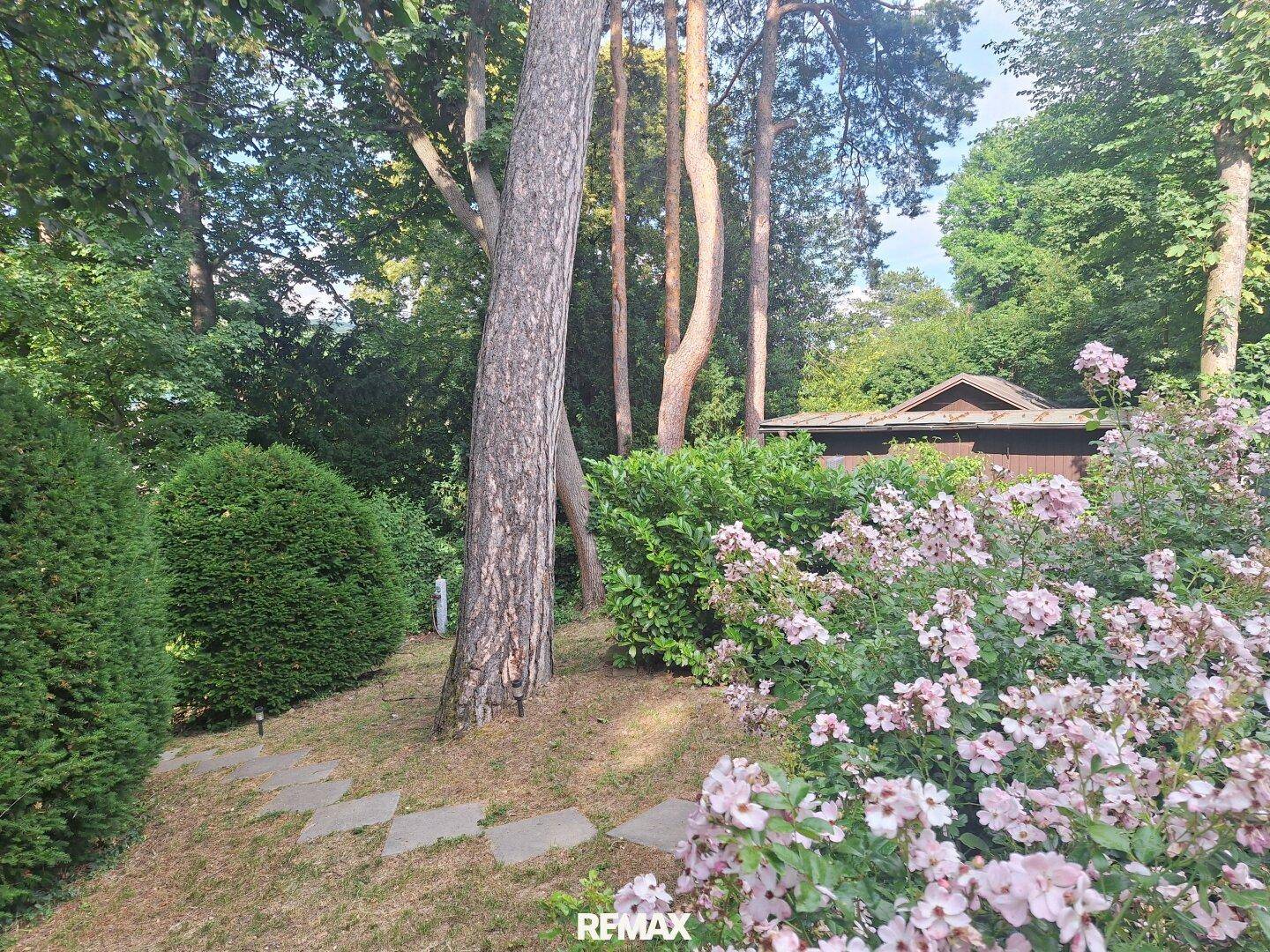 Naturbelassener Garten mit hohen Bäumen, blühenden Sträuchern und einem kleinen Gartenhaus im Hintergrund.