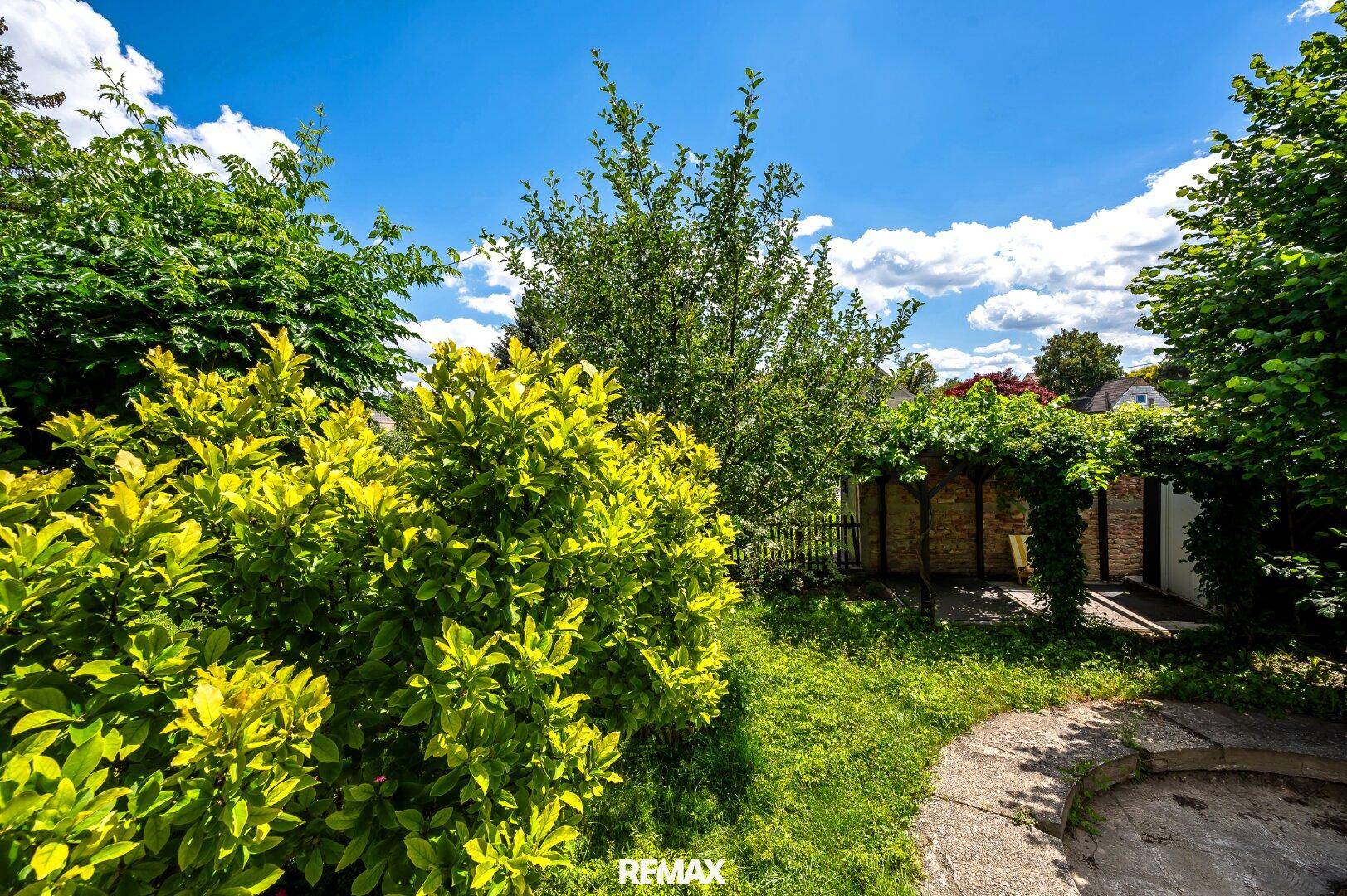 Üppiger Garten mit verschiedenen Pflanzen, Sträuchern und einem sonnigen Weg.