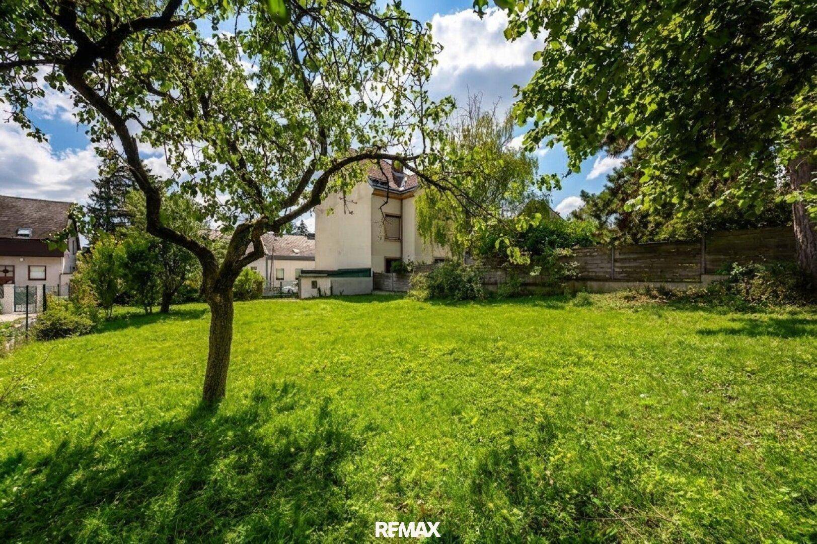 Sonnige Rasenfläche mit einem markanten Baum im Vordergrund und einem Haus im Hintergrund.