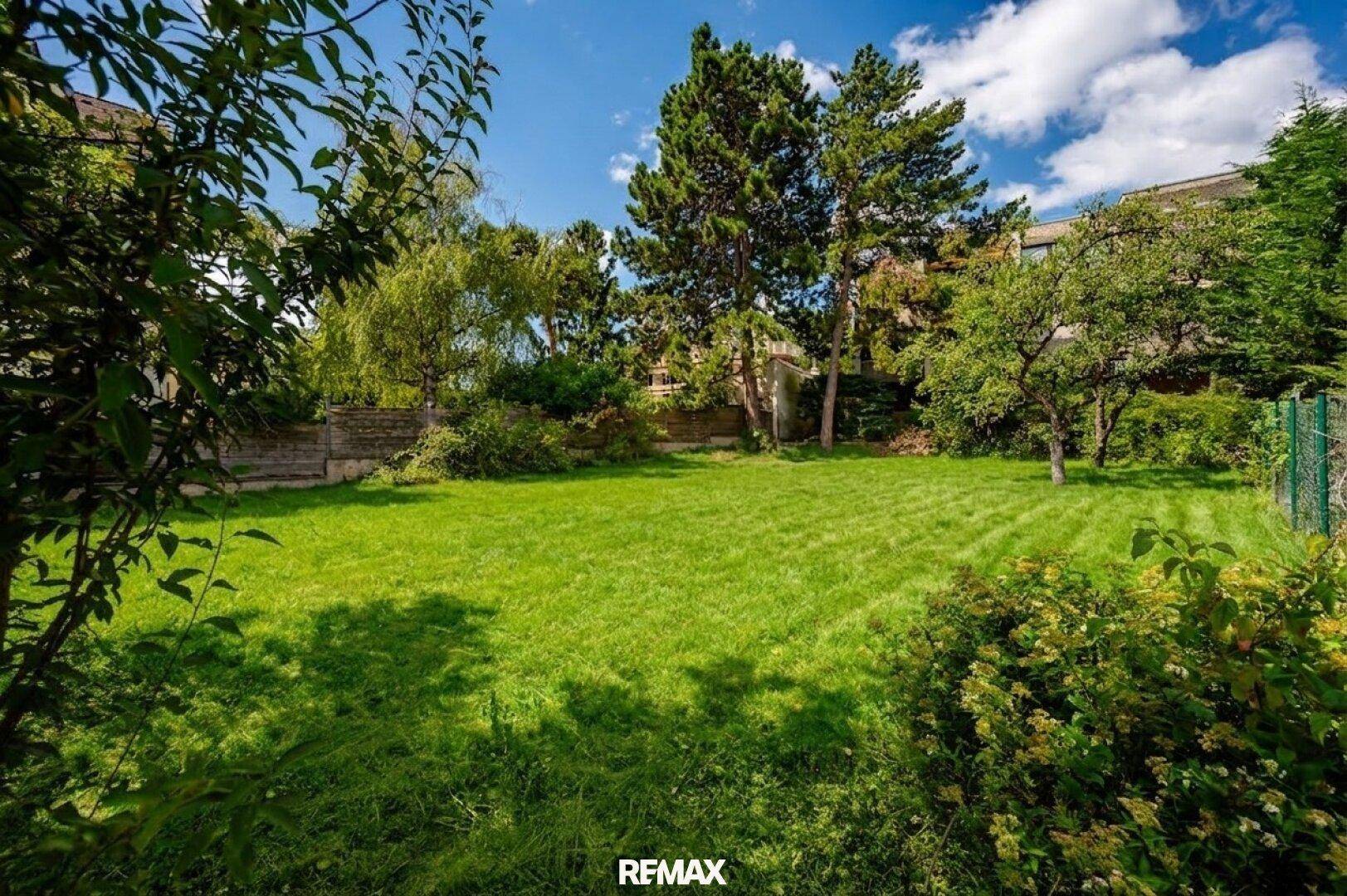 Gepflegte Rasenfläche umgeben von Bäumen und Sträuchern, ideal für Erholung im Freien.