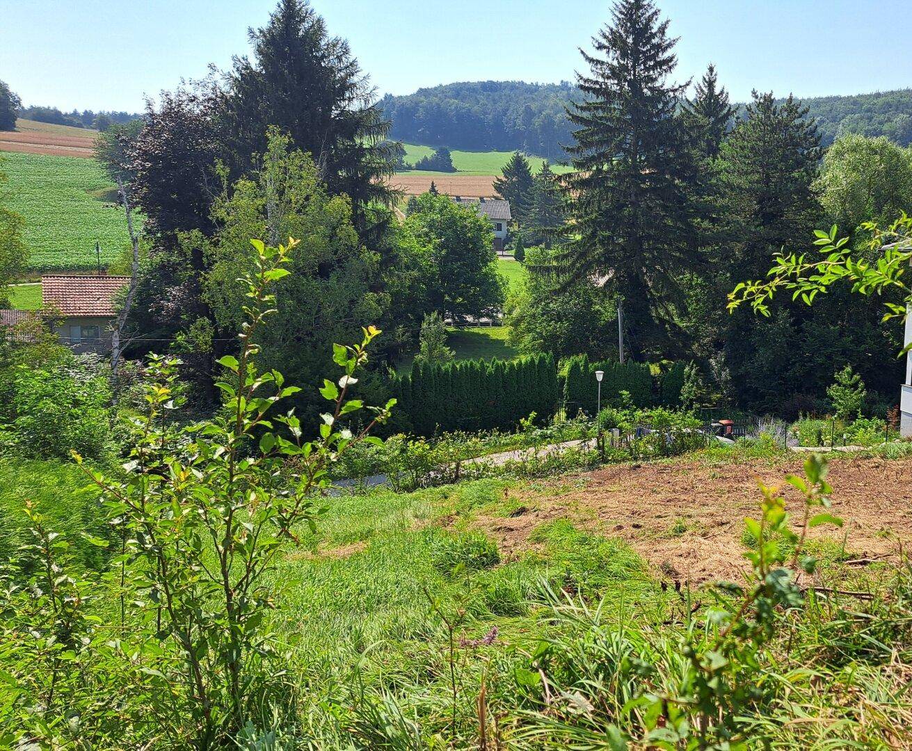 Weitläufiger Blick über ein grünes Grundstück mit Bäumen und hügeliger Landschaft im Hintergrund.