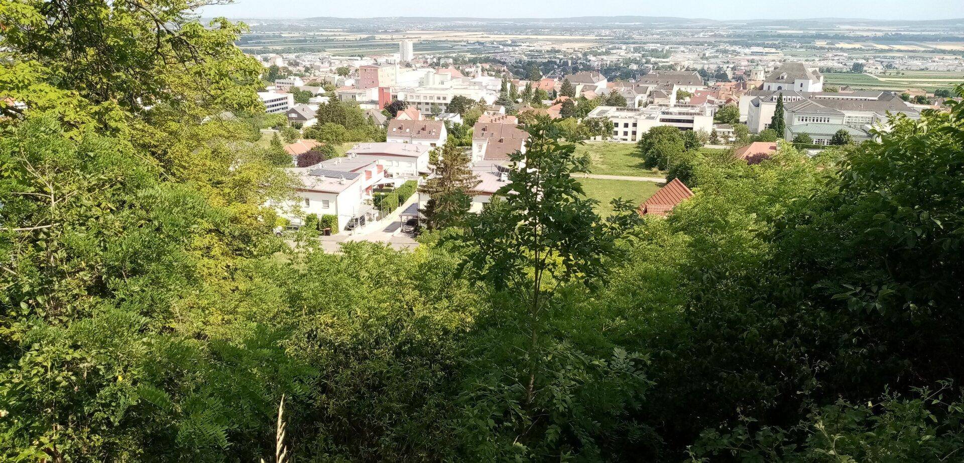 Panoramablick auf die Stadt durch üppiges Grün, mit Häusern und weitem Horizont.