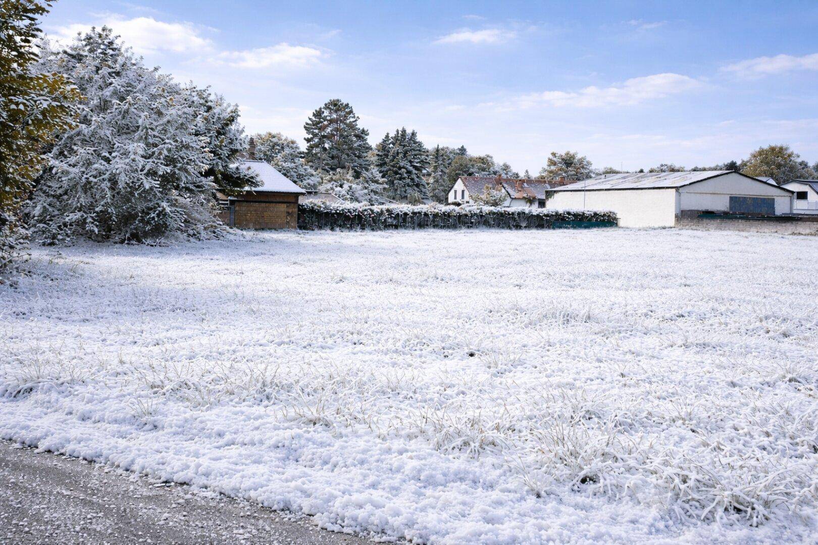 Verschneites Feld mit Bäumen und Gebäuden im Hintergrund unter klarem Himmel.