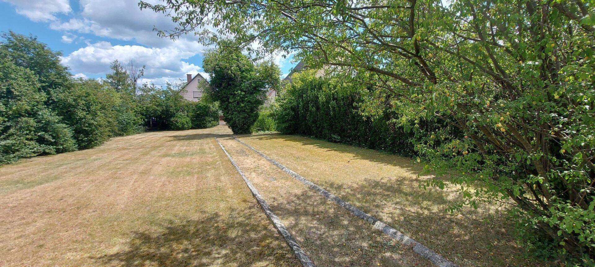 Weitläufige Gartenfläche mit Rasen und Baumbestand unter blauem Himmel.
