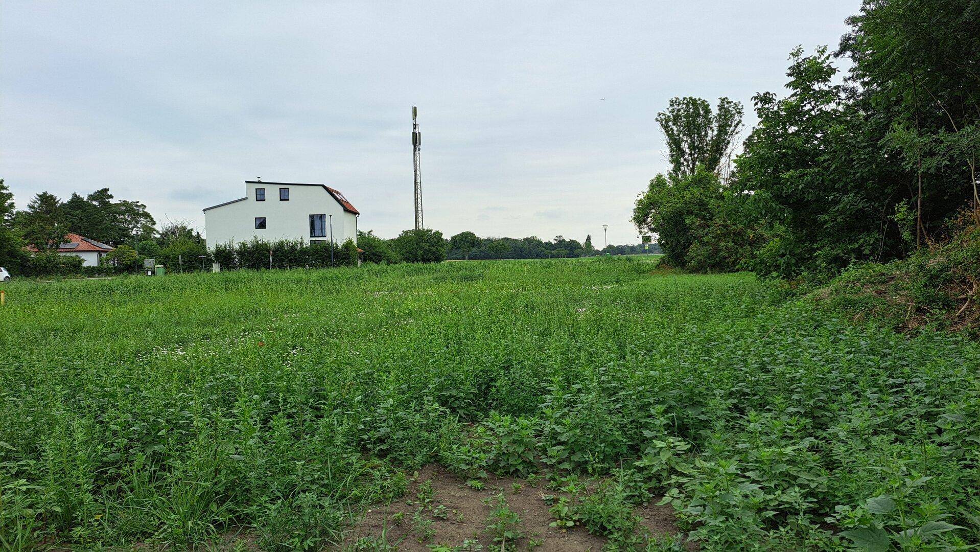 Weitläufiges, unbebautes Grundstück mit hohem Gras, einem Haus und einem Turm in der Ferne.