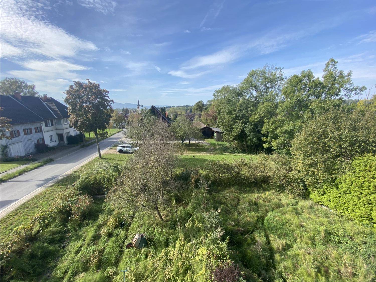 Blick über eine grüne Wiese auf eine Straße mit Häusern und Kirchturm in der Ferne.