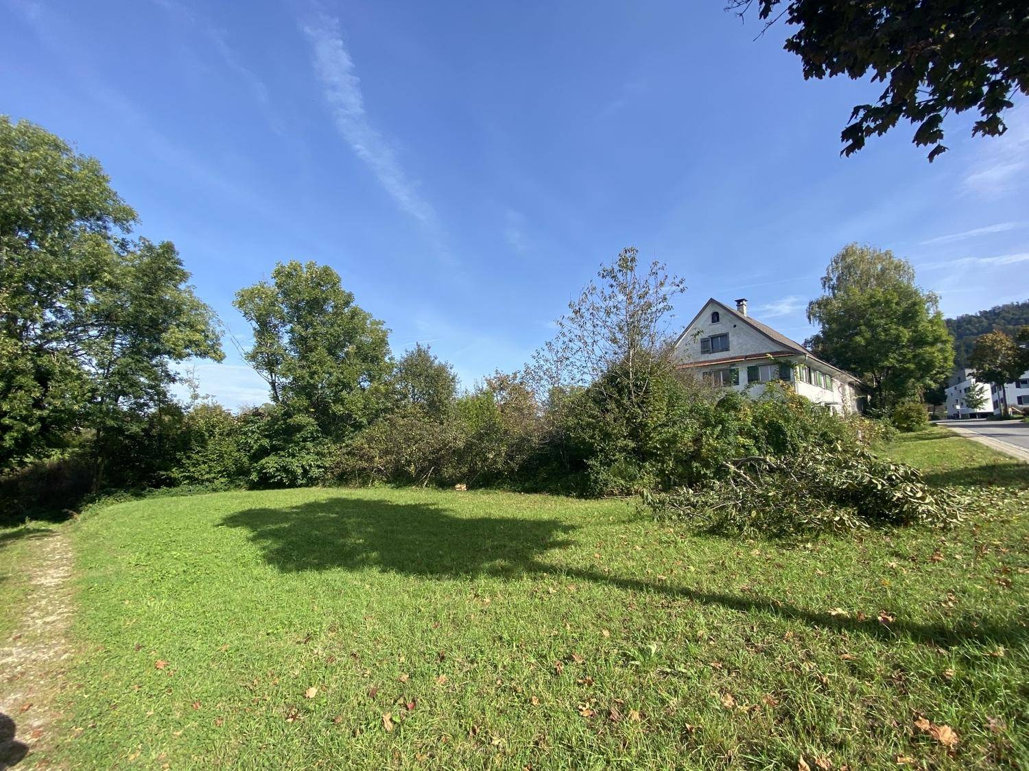 Große grüne Wiese mit Bäumen und einem traditionellen Haus im Hintergrund unter blauem Himmel.