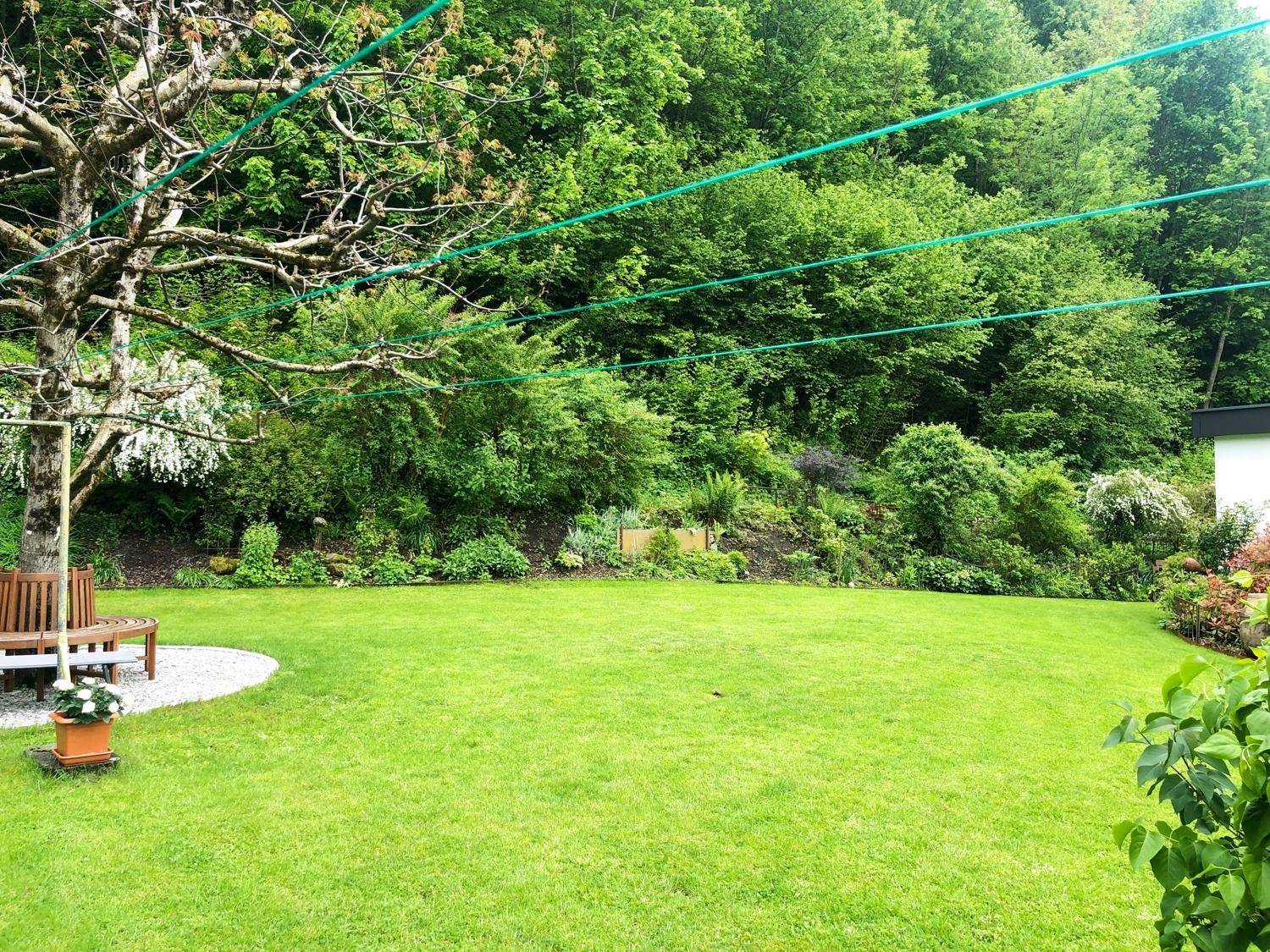 Gepflegter Garten mit großer Rasenfläche, altem Baum und Blick auf bewaldeten Hang.