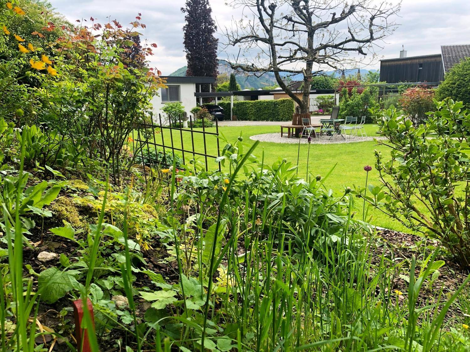 Blühende Pflanzen im Vorgrund eines weitläufigen Gartens mit Haus und Bergblick im Hintergrund.