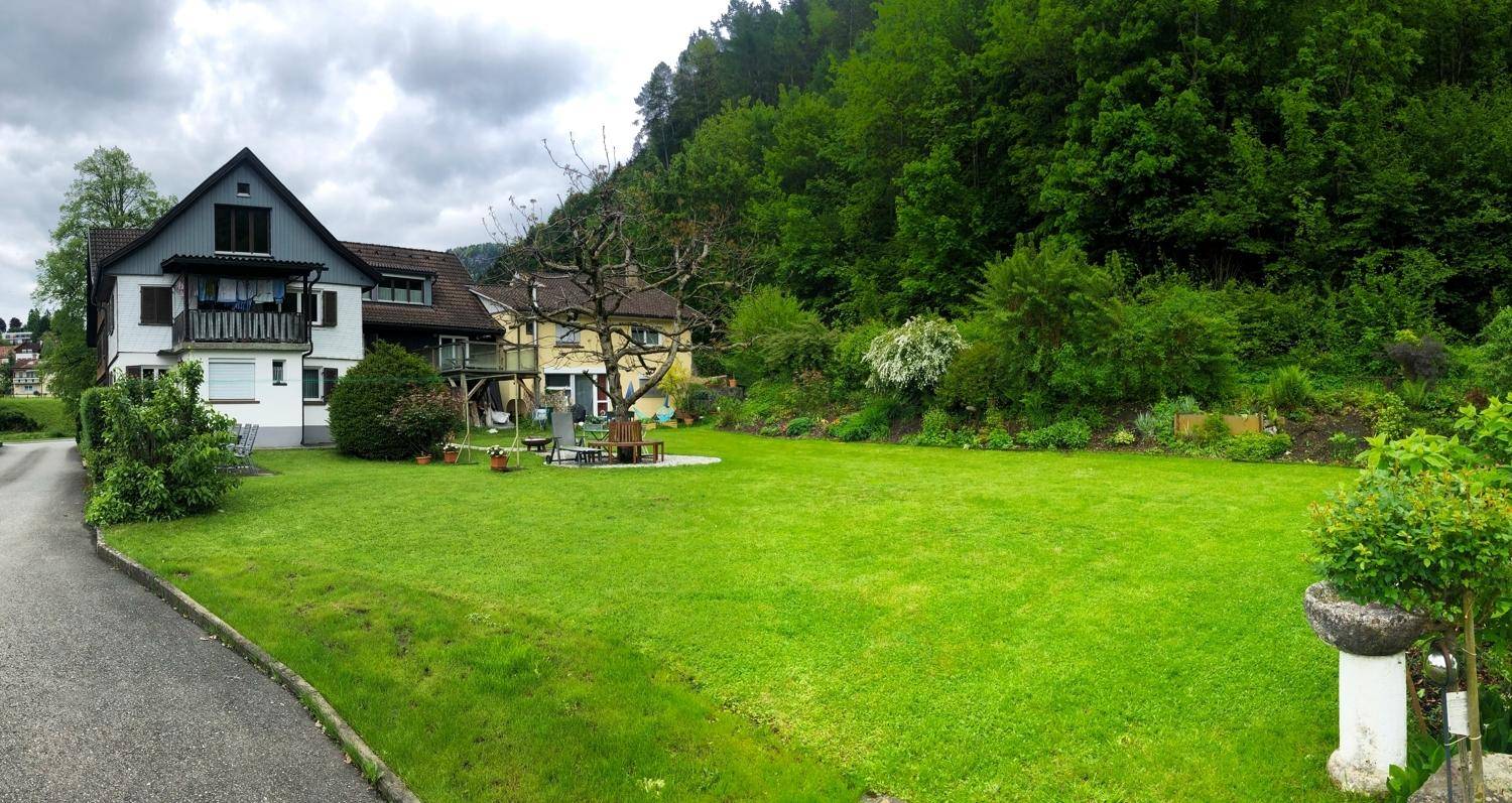 Großer Garten mit Rasenfläche, altem Baum und Blick auf das Haus und die bewaldete Umgebung.
