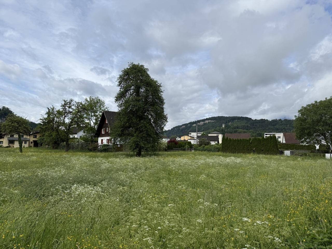 Ruhige ländliche Szene mit grünen Feldern, traditionellen Häusern und sanften Hügeln unter Wolken.