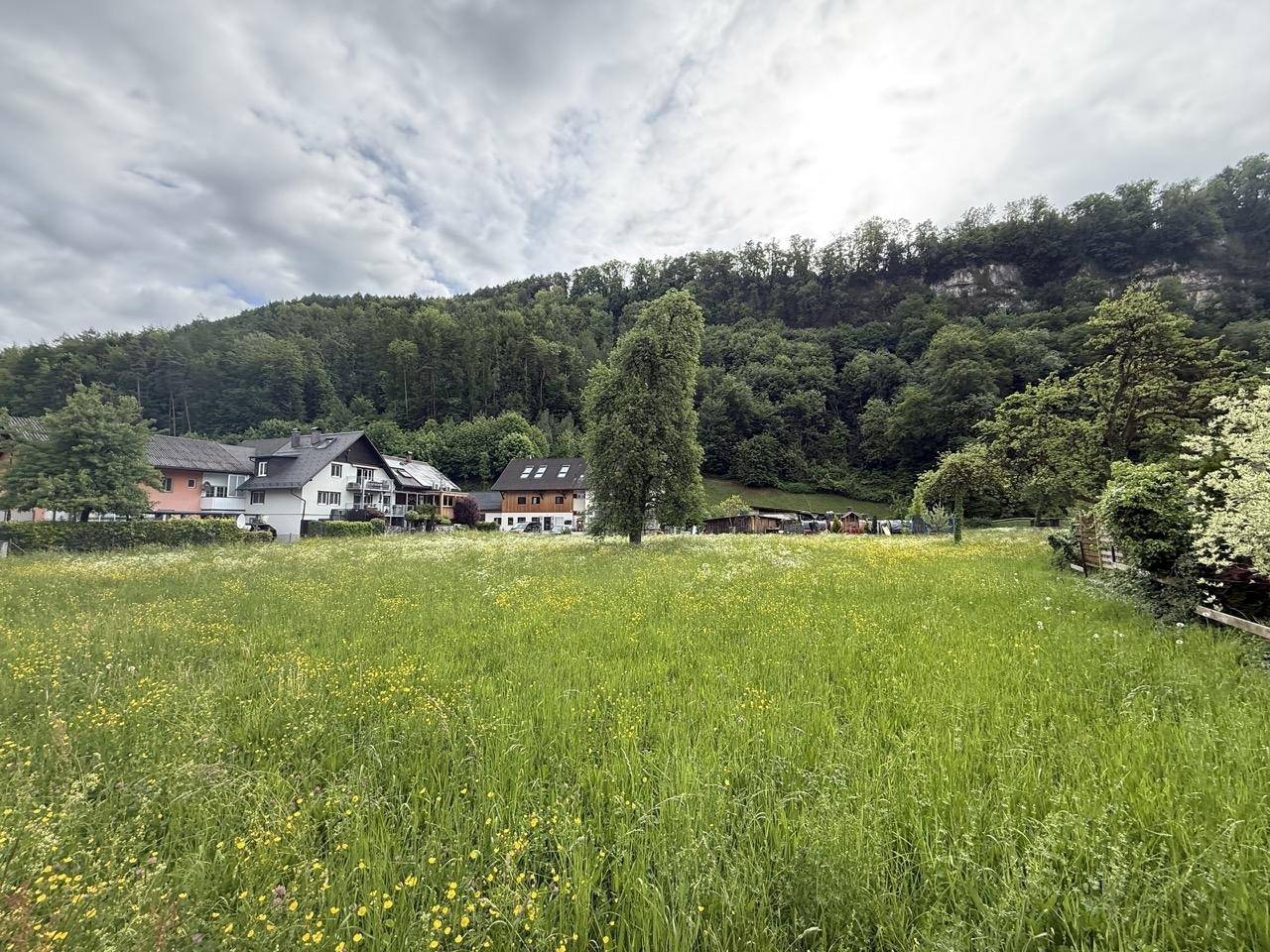 Idyllische Landschaft mit weitem Blick über grüne Wiesen, Häuser und bewaldete Berge.