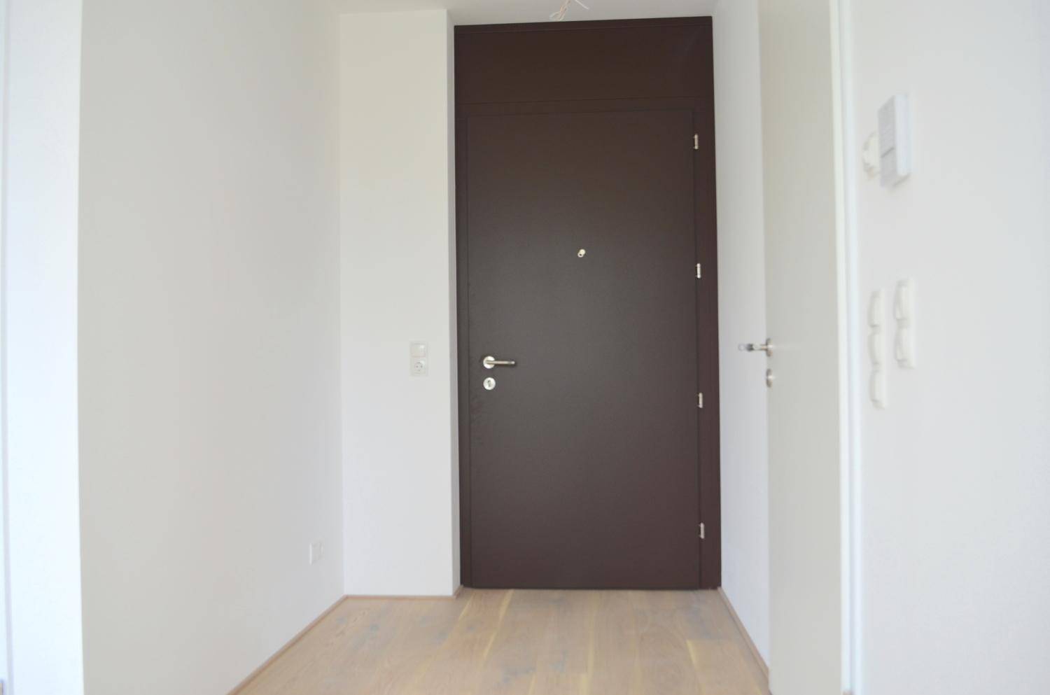 Heller Flur mit Holzboden und einer modernen, dunklen Eingangstür.