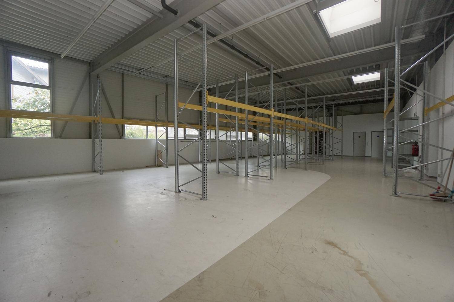 Geräumige Lagerhalle mit hohen Decken, Metallregalen und großen Fenstern, bereit zur Nutzung.
