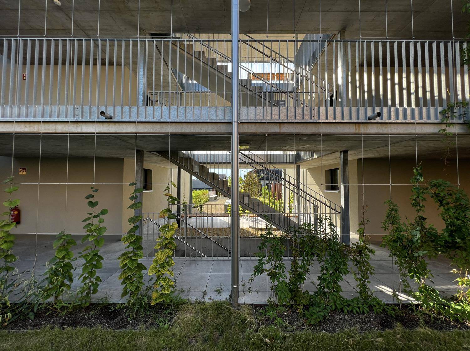 Offenes Treppenhaus aus Metall und Beton zwischen den Gebäudeteilen mit Begrünung.