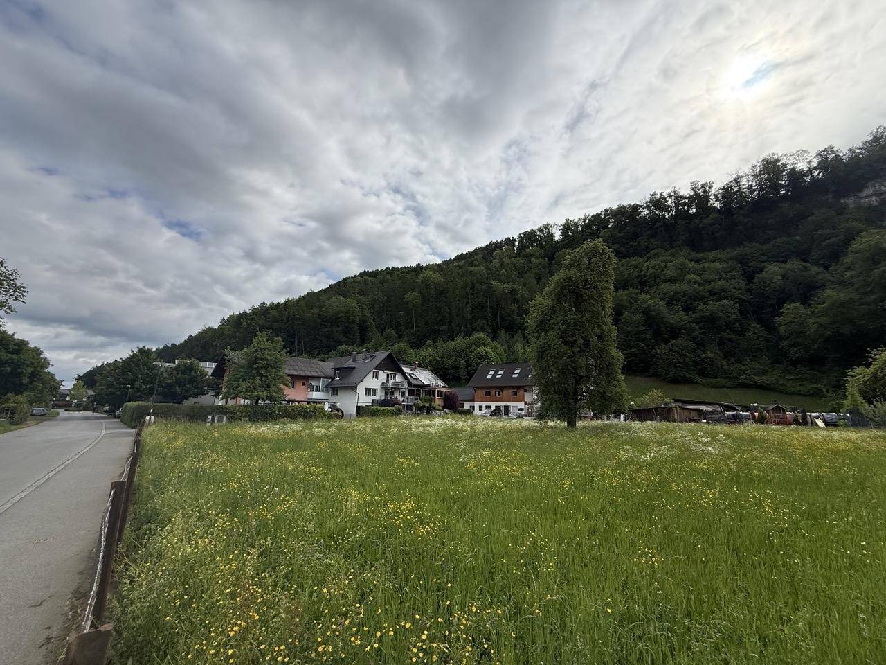 Ländliche Szene mit einer Straße, grünen Wiesen, Häusern und einem bewaldeten Berg im Hintergrund.