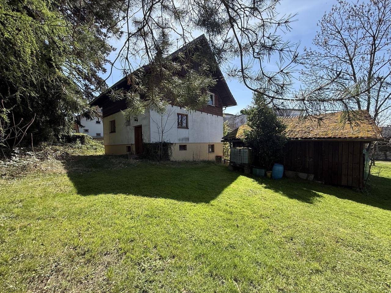 Hausansicht vom gepflegten Rasen aus, umgeben von hohen Bäumen und Sonnenschein.