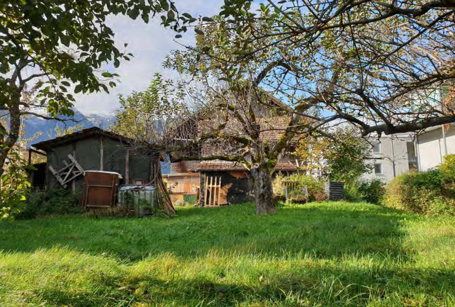 Großer Garten mit altem Baumbestand und einem baufälligen Schuppen neben dem Hauptgebäude.