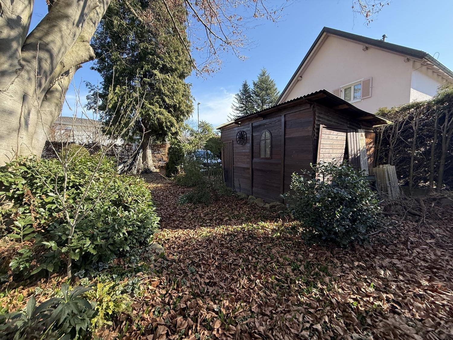 Gartenansicht mit einem Holzschuppen und einer dichten Hecke, umgeben von Laub.