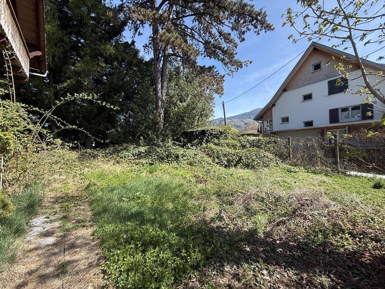 Ungepflegter Gartenbereich mit viel Grün und Blick auf benachbarte Häuser und Berge.