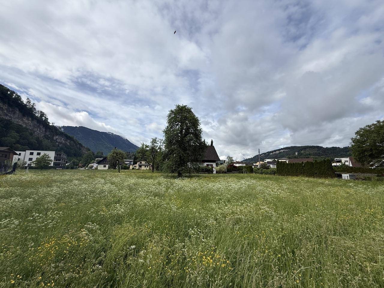 Panoramablick über eine blühende Wiese mit Häusern und majestätischen Bergen im Hintergrund.