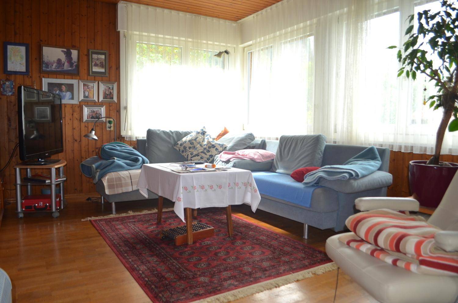 Gemütliches Wohnzimmer mit blauem Sofa, Fernseher und großen Fenstern für viel Tageslicht.