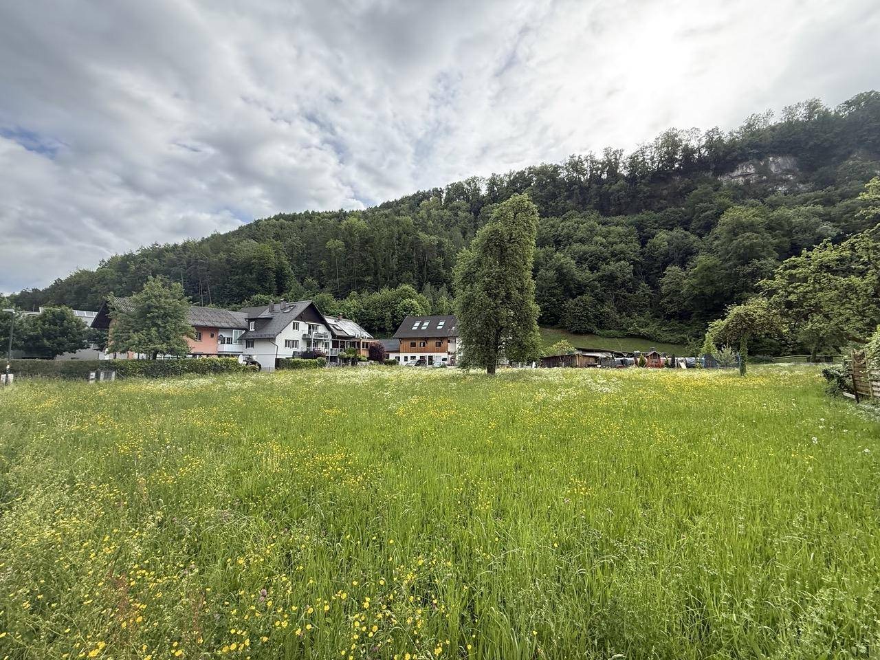 Idyllische Landschaft mit weitem Blick über grüne Wiesen, Häuser und bewaldete Berge.
