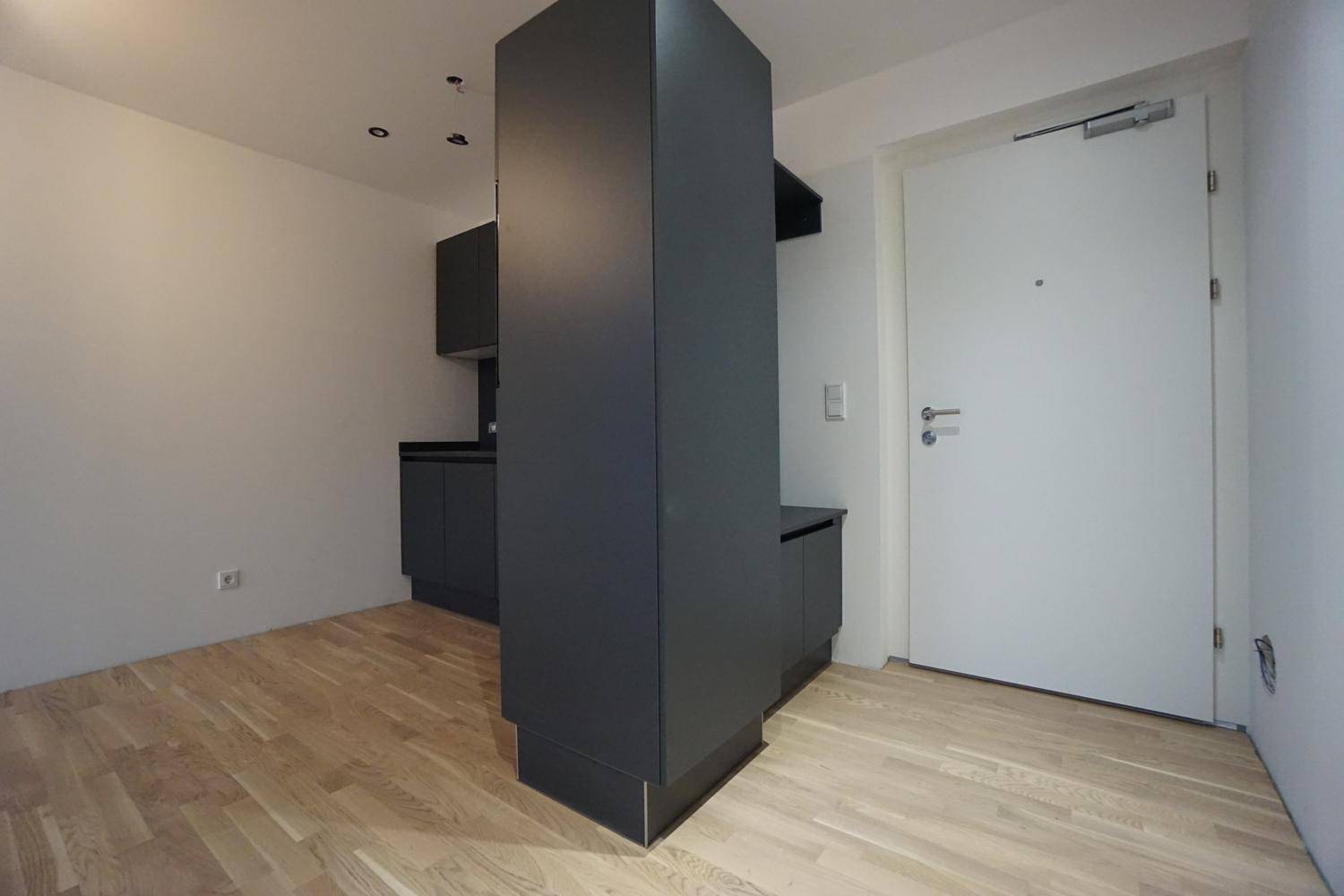 Heller Wohnraum mit Holzboden und integrierter, moderner Küchenzeile in dunklem Design.